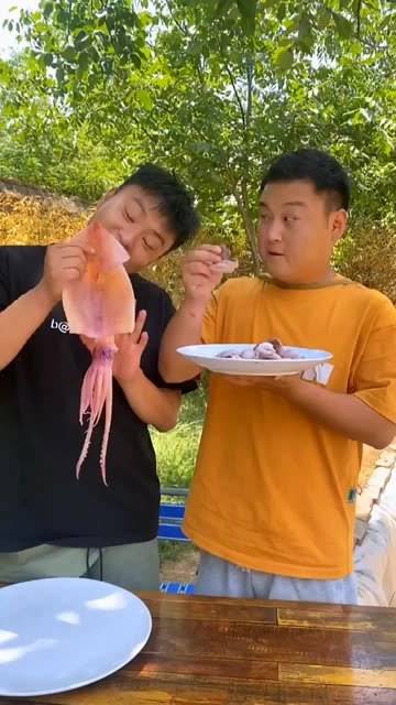 渤哥vs章鱼视频直播，一场意外走红的人机大战，背后藏着什么？